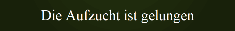 Die Aufzucht ist gelungen